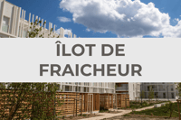 LOGO ILOT DE FRAICHEUR
