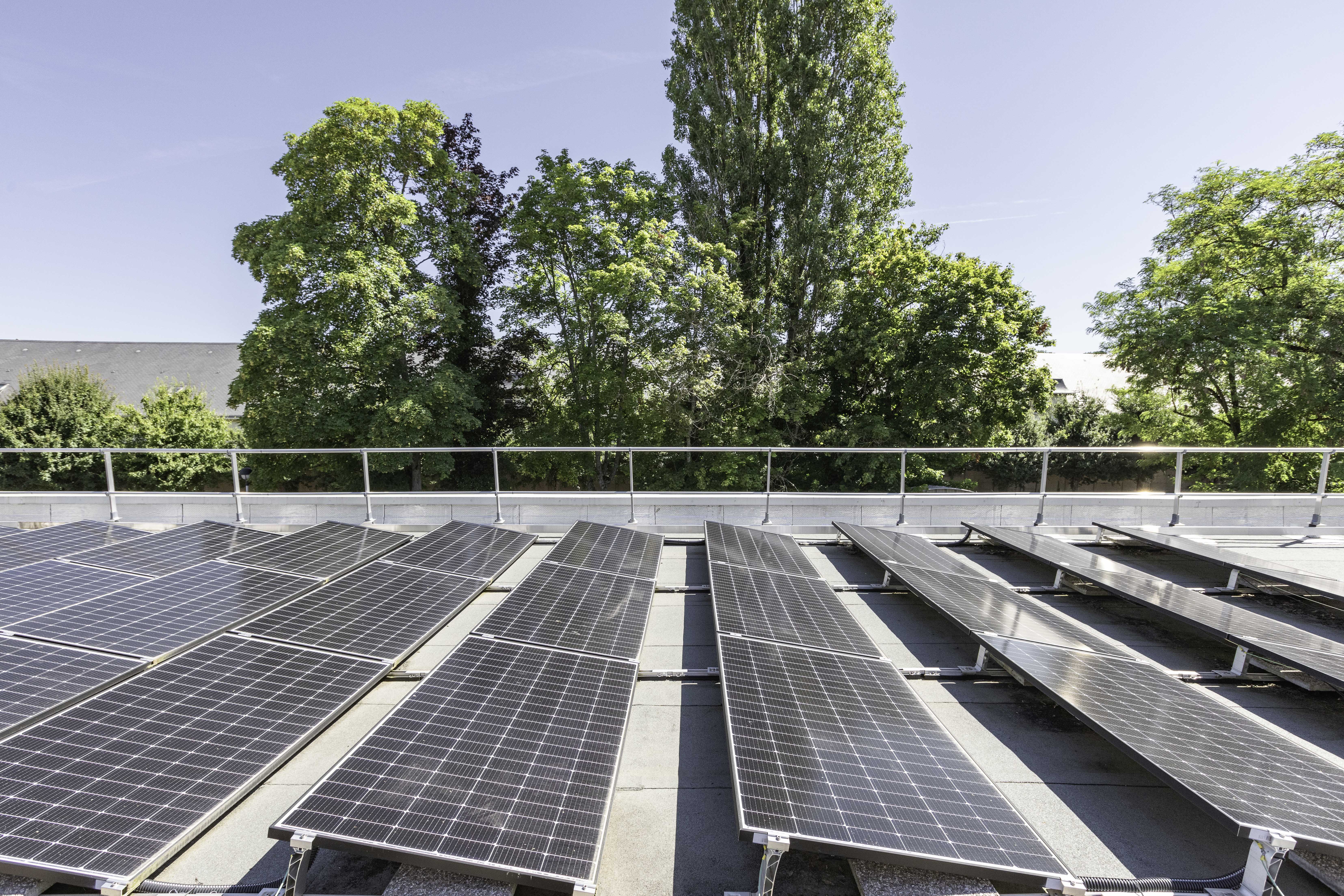 Le solaire surpasse le charbon en Europe : une avancée vers un avenir durable