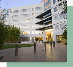 Cour intérieure d’un immeuble tertiaire moderne avec façade vitrée, bambous et parvis aménagé