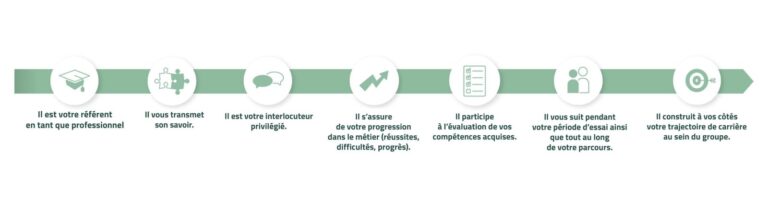 Infographie présentant les missions du tuteur : transmission du savoir, accompagnement, suivi de progression, évaluation des compétences et construction du parcours