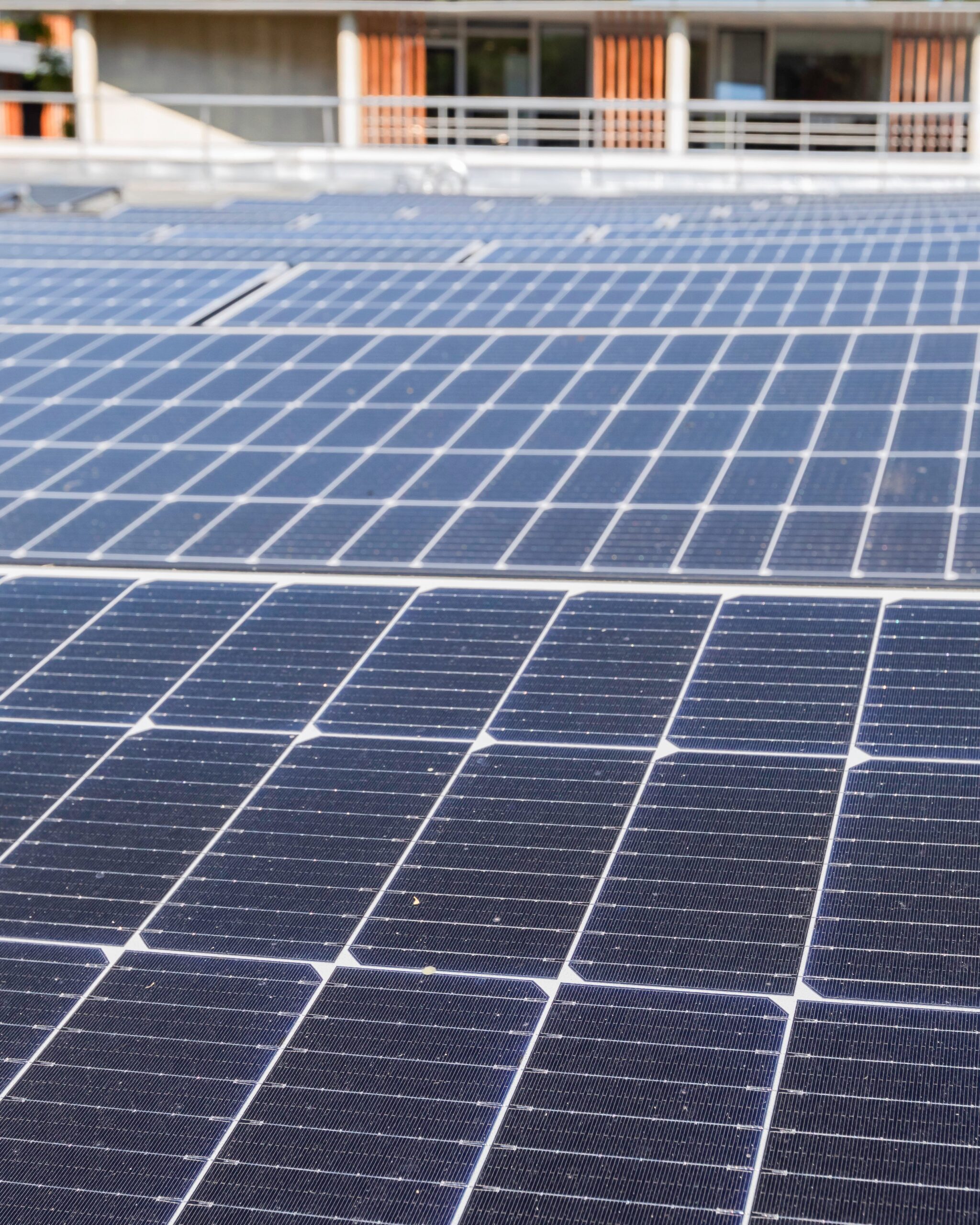 ALTYN a installé 10 000 panneaux photovoltaïques en 2025