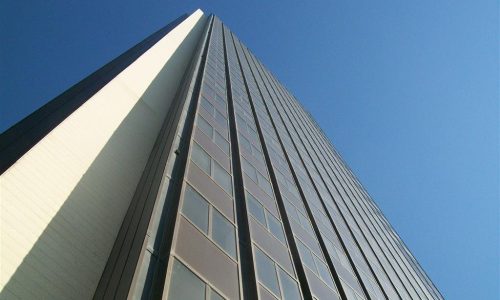 ALTYN vous donne des clés pour éviter les pièges lors de la mise en place d’une démarche environnementale.